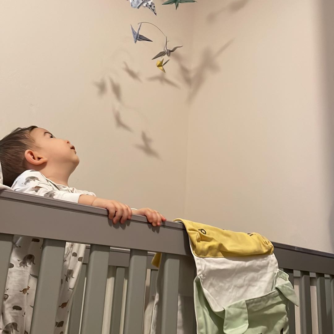 387588510_684151693666511_940639980242889194_n