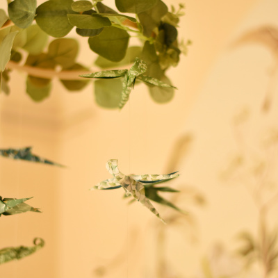 Λιβελούλες