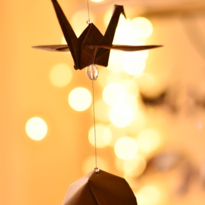 Origami Crane-Fortune Cookie