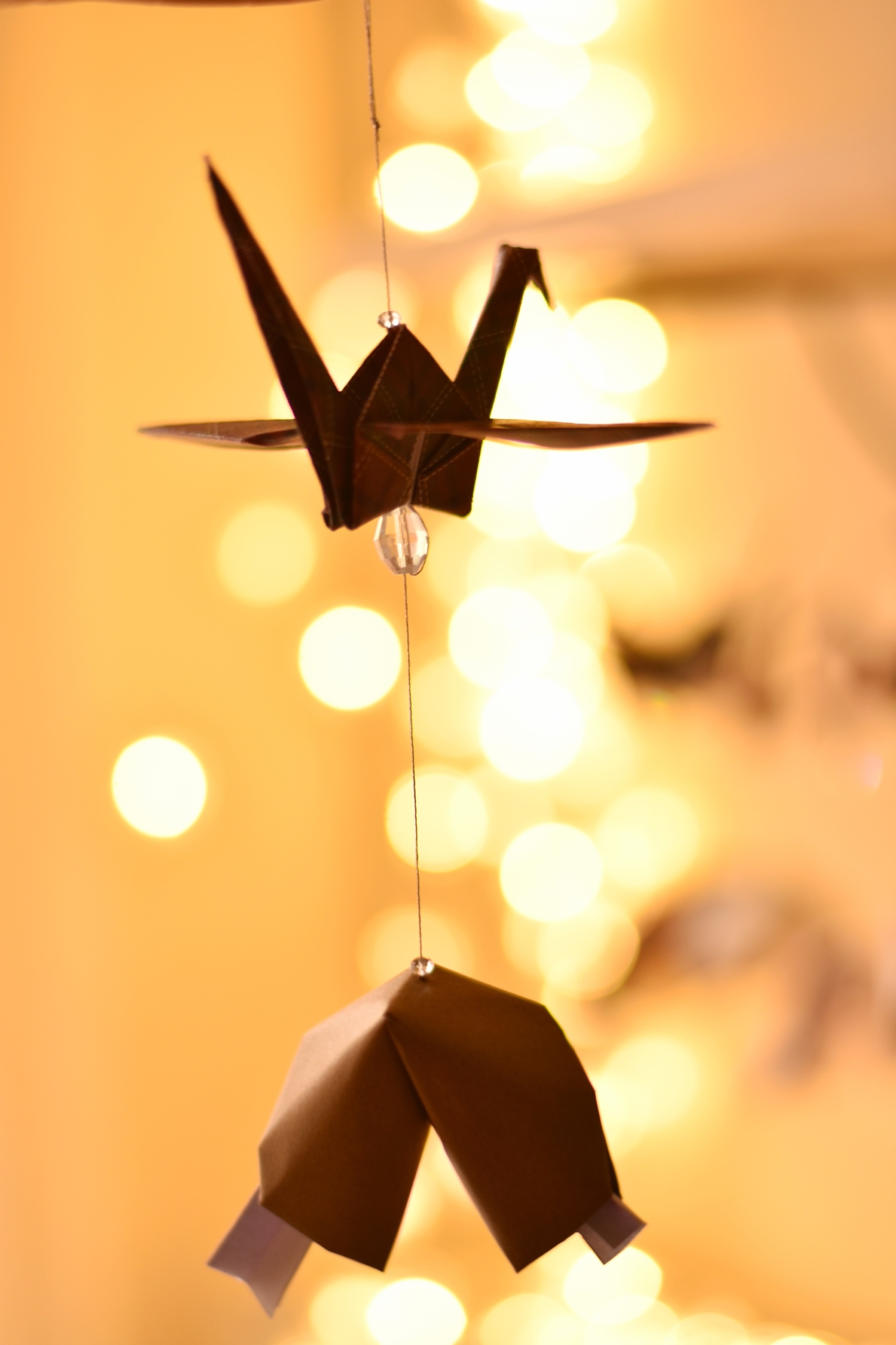 Origami Crane-Fortune Cookie